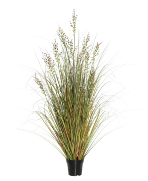 Vickerman 60