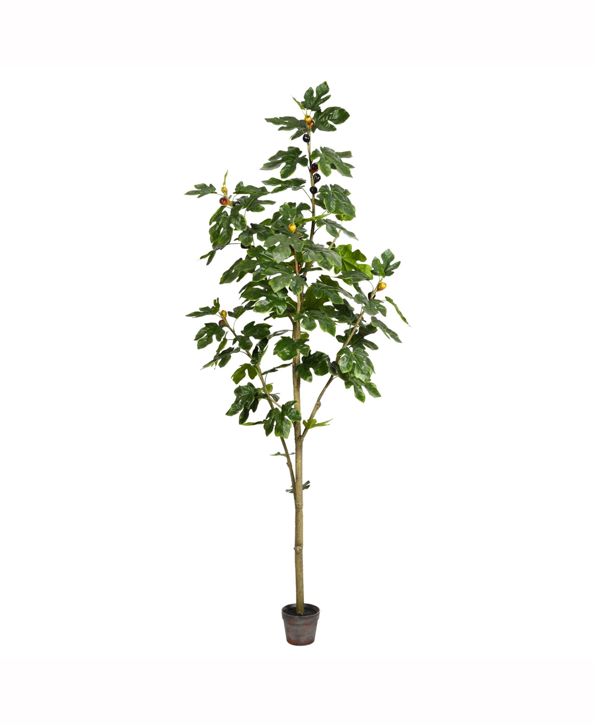Vickerman 7' Artificial Potted Fig Tree With 86 Leaves In No Color