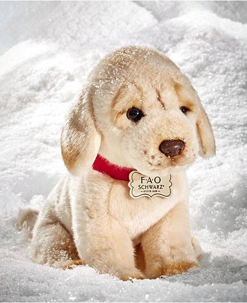fao schwarz labrador