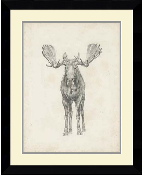 Amanti Art Moose Study Framed Art Print Reviews Home Macy S