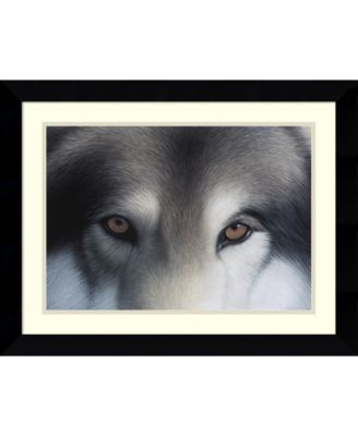 Amanti Art - Eyes of the Hunter- Gray Wolf 27x21 Framed Art Print