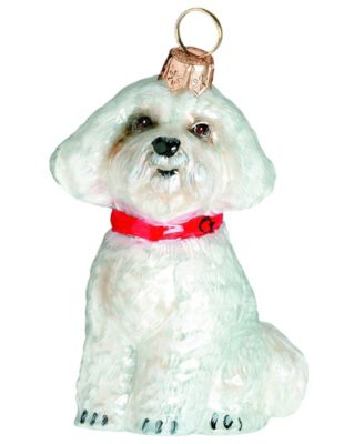 Joy to the World - Joy To The World Bichon Frise Puppy