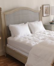 Carpenter Co. Bed Pillows Macy s