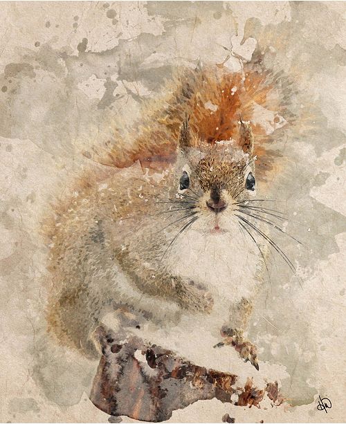 Creative Gallery Winter Squirrel Watercolor 24 X 36 Canvas Wall