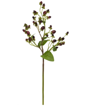 Nearly Natural 17" Italian Coffee Bean Artificial Flower, Set Of 8 In Green