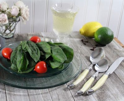 Laguiole 20 Piece Stainless Steel Flatware Set, Service for 4