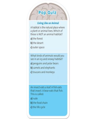 Melissa and Doug Smarty Pants - 1st Grade Card Set