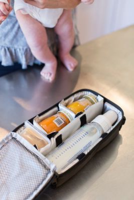 J.L. Childress Pack N Protect Cooler Bag for Glass Bottles and Containers 