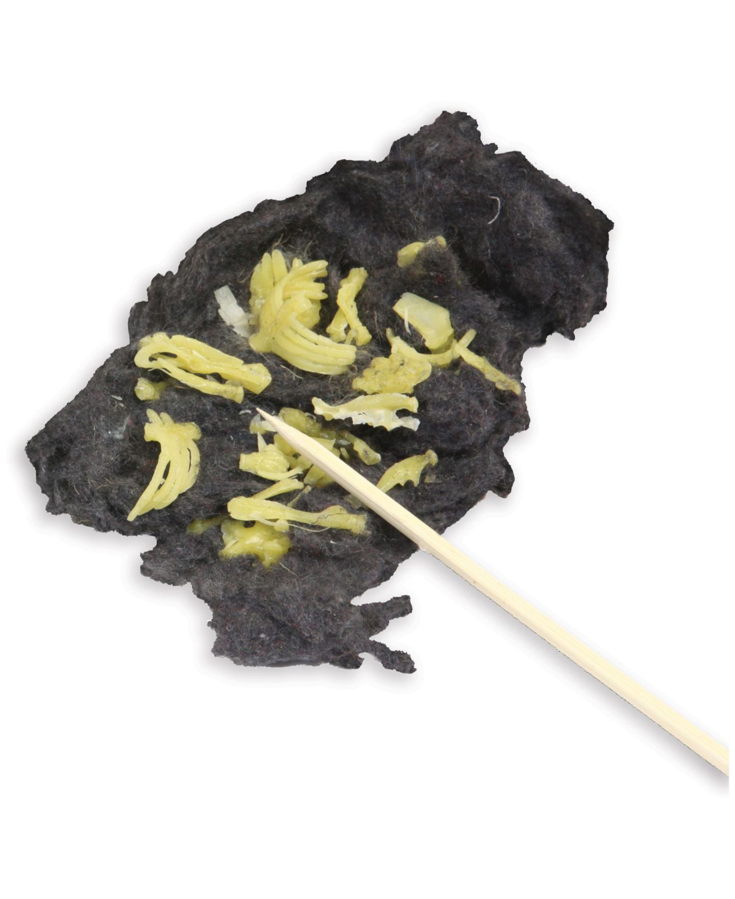 Детские игрушки Areyougame Owl Puke Owl Pellet Skeleton Reconstruction Science Kit, Ages 8+ — фото 3