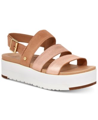 macys steve madden kimmie