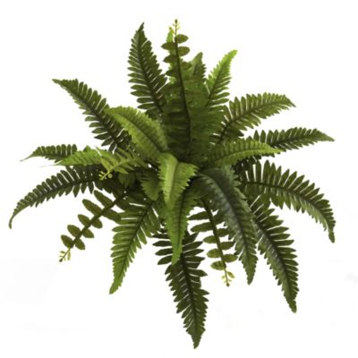 14" Boston Fern Artificial Plant, Set of 6 