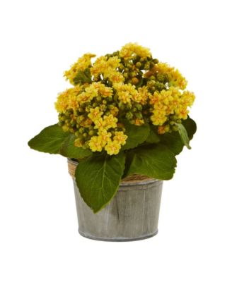 Kalanchoe Artificial Arrangements, Set of 3