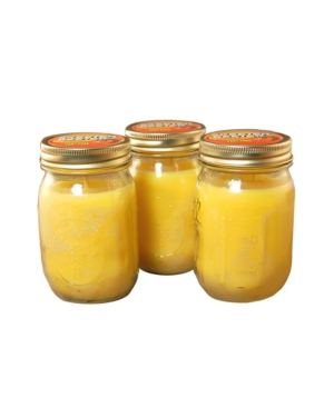 Jh Specialties Inc/lumabase Lumabase Set Of 3, 9oz Citronella Candles In Mason Jars In Yellow