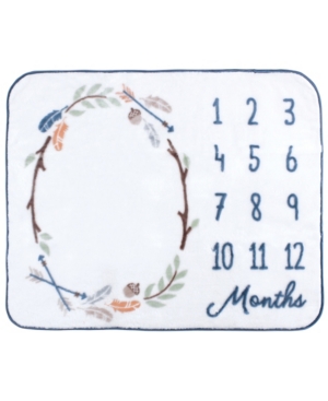 Hudson Baby Monthly Milestone High Pile Blanket One Size