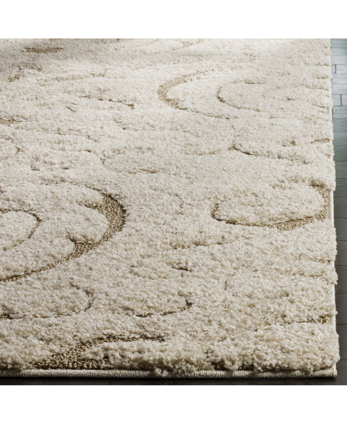 Safavieh Florida Shag SG467and Beige Area Rug -/ Be