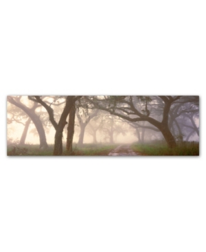 Trademark Global Doug Cavanah 'dawns Early Light' Canvas Art In Multi