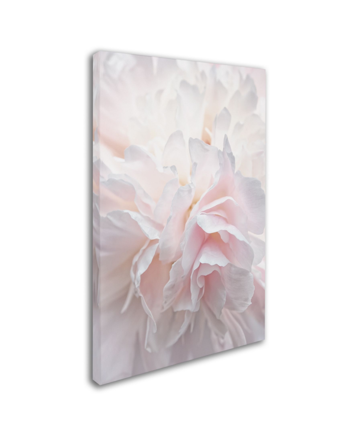Cora Niele 'Pink Peony Petals Iv' Canvas Art - 2