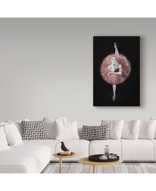 Trademark Global Darlene Hewson On Pointe Canvas Art 12 X 2 X 19 Reviews Wall Art Macy S