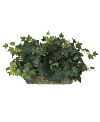 Nearly Natural - Ivy Ledge Plant - Set on Foam Silk Plant