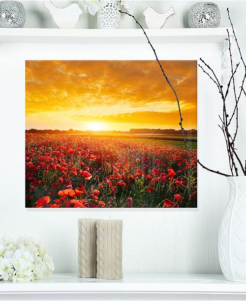 Design Art Designart Poppy Field Under Ablaze Sunset Abstract