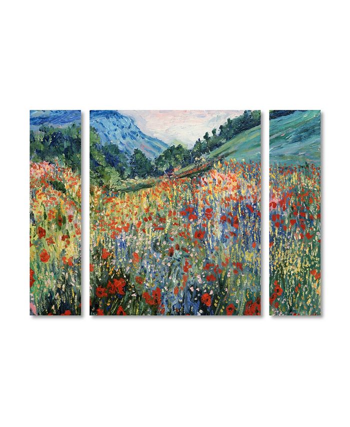 Trademark Global Masters Fine Art 'Field of Wild Flowers' Multi Panel ...