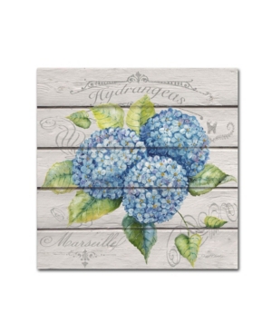 Trademark Global Jean Plout 'blue Hydrangeas' Canvas Art In Multi