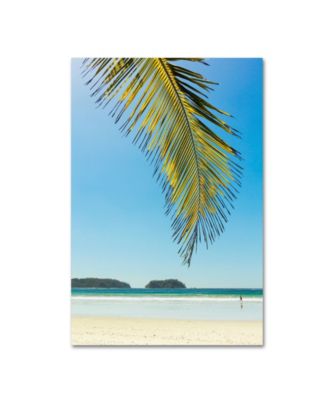 Robert Harding Picture Library 'Palm Trees 4' Canvas Art - 24