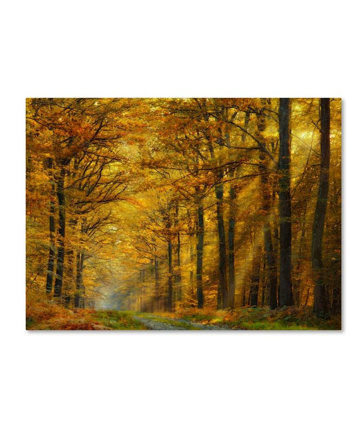 Trademark Global Marianna Safronova 'Enchanted Forest' Canvas Art - 32 ...
