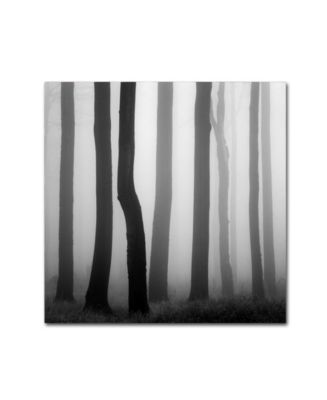 Martin Rak 'Trunks' Canvas Art - 14