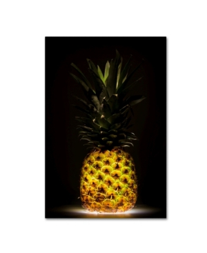 Trademark Global Wieteke De Kogel 'pineapple' Canvas Art In Multi