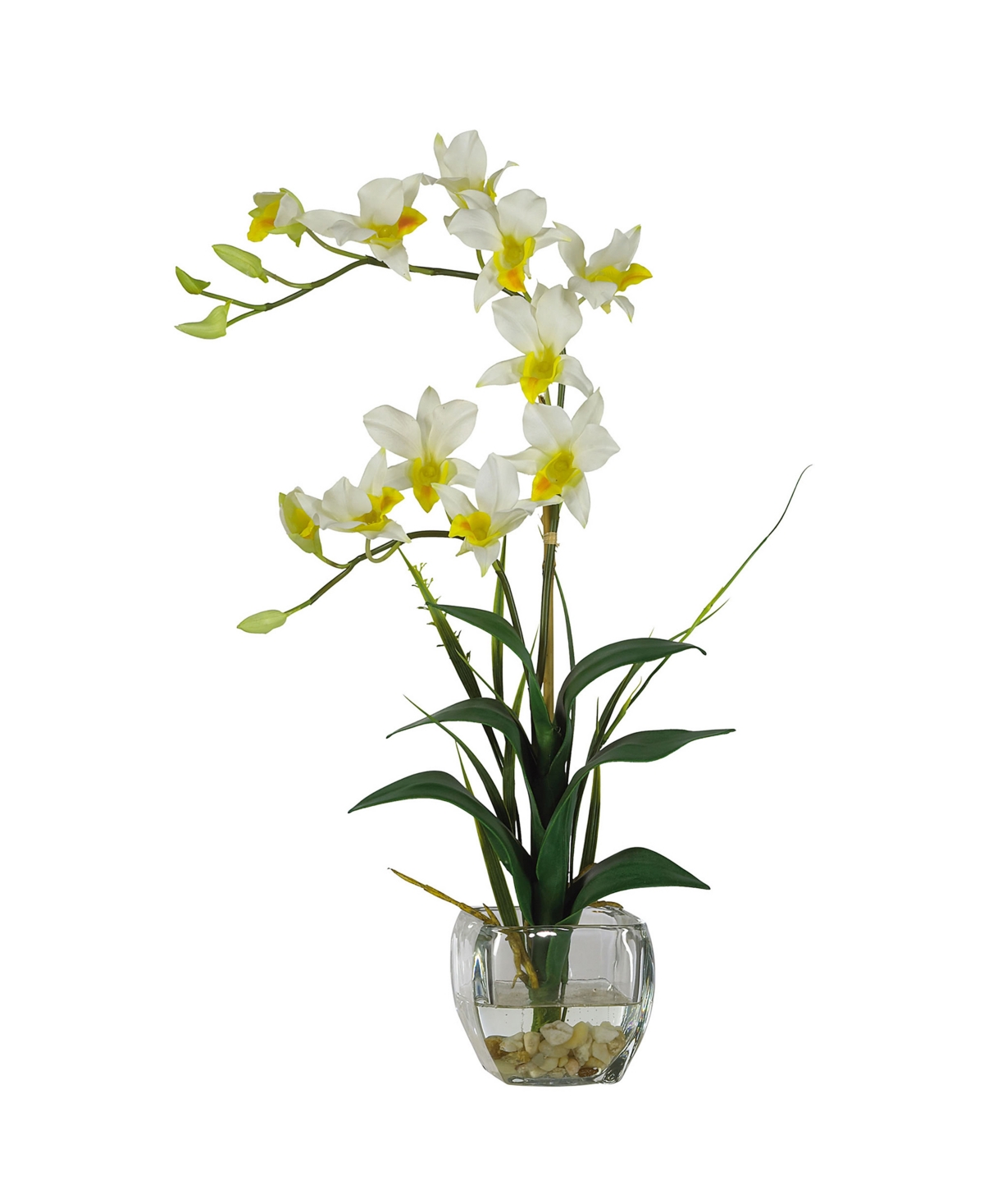 Dendrobium with Glass Vase Silk Flower Arrangement - Cream