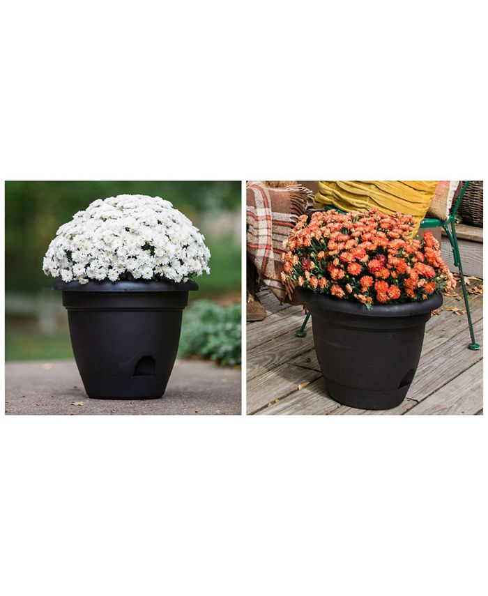 Bloem Lucca 16" Self Watering Planter Macy's