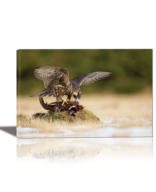 Peregrine Falcon Framed Canvas Wall Art