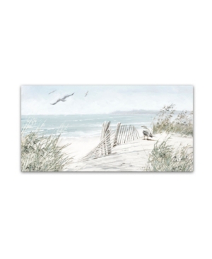 Trademark Global The Macneil Studio 'coastal Dunes' Canvas Art In Multi