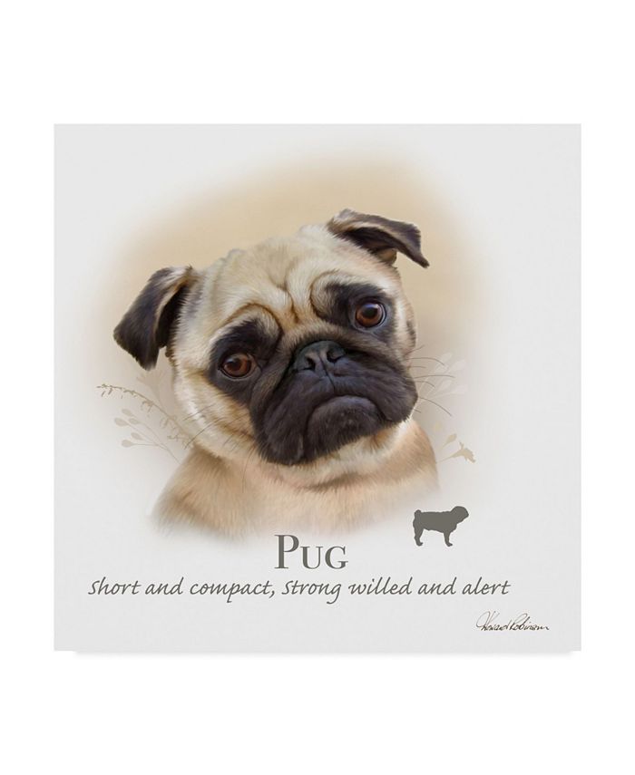Pug necklace macy's sale