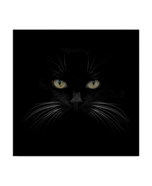 Trademark Global Lori Hutchison 'black Cat Centered' Canvas Art In Multi