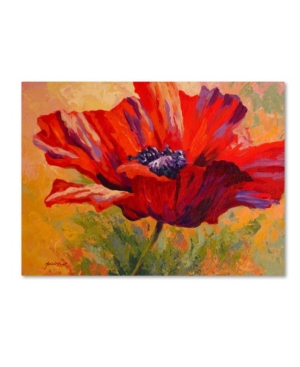 Trademark Global Marion Rose 'red Poppy Ii' Canvas Art In Multi