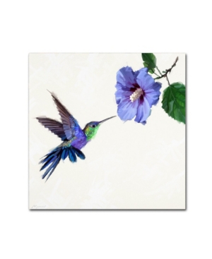 Trademark Global The Macneil Studio 'humming Bird' Canvas Art In Multi