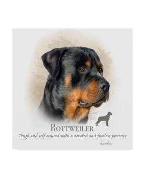 Trademark Global Howard Robinson 'rottweiler' Canvas Art In Multi