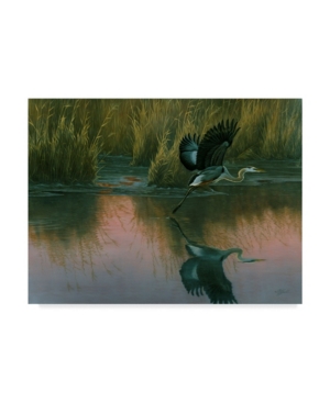 Trademark Global Wilhelm Goebel 'evening Flight Great Blue Heron' Canvas Art In Multi