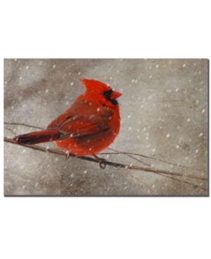 Trademark Global Lois Bryan 'cardinal In Winter' Canvas Art In Multi