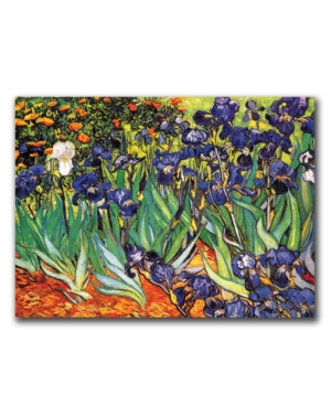 Trademark Global Vincent Van Gogh 'irises At Saint-remy' Canvas Art In Multi