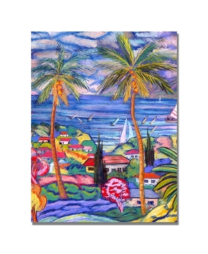Trademark Global Manor Shadian 'hawaii Wind Surf' Canvas Art In Multi