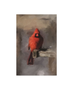 Trademark Global Lois Bryan 'bright Red Cardinal On A Perch' Canvas Art In Multi
