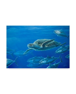 Trademark Global Wilhelm Goebel 'sea Turtle' Canvas Art In Multi
