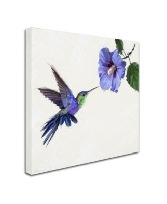 The Macneil Studio 'Humming Bird' Canvas Art - 35" x 35"