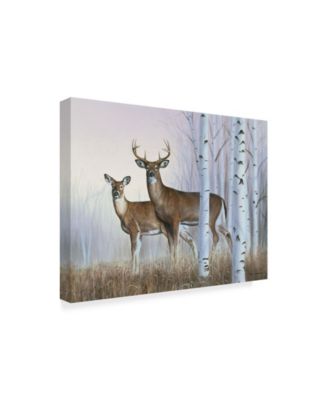 Rusty Frentner 'Deer In Birch Woods' Canvas Art - 24" x 32"