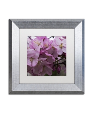 Trademark Global Kurt Shaffer 'cherry Blossom Cluster' Matted Framed Art In Multi