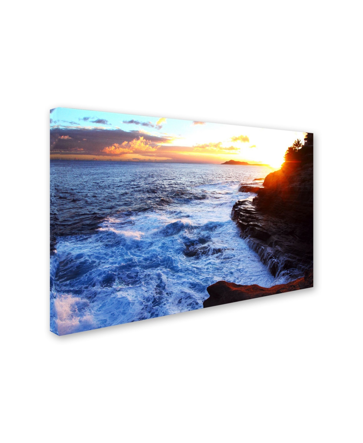 Jason Shaffer 'Hawaii 4' Canvas Art -