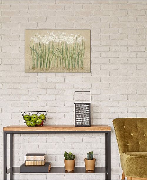 Icanvas Narcissus Cool By Cheri Blum Gallery Wrapped Canvas Print